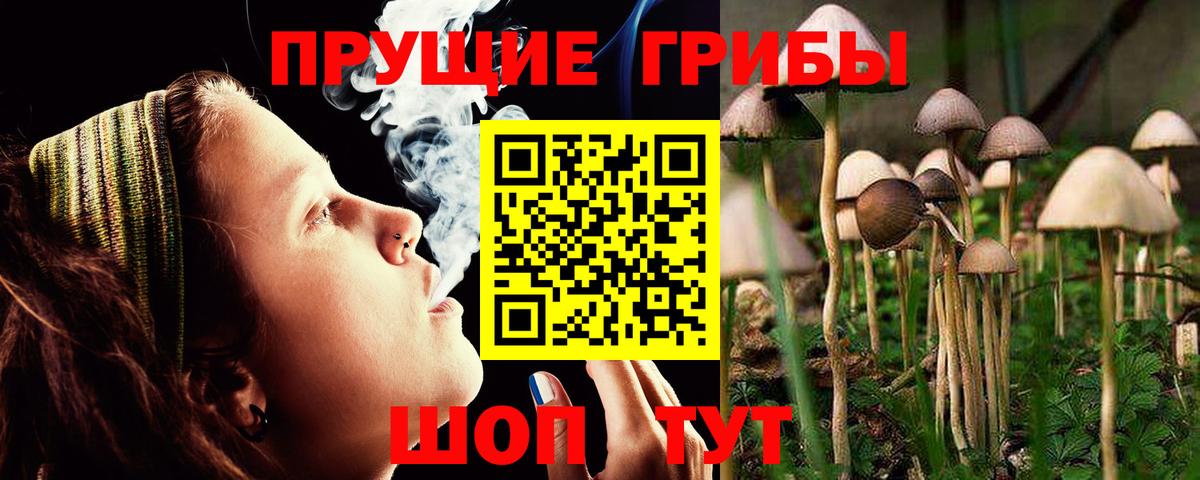 Сызрань  Галлюциногенные грибы ЛСД  Вход с VPN 